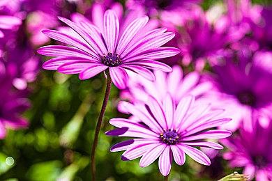 战神5 DLC总监盛赞《星刃》 横尾太郎也期待这游戏